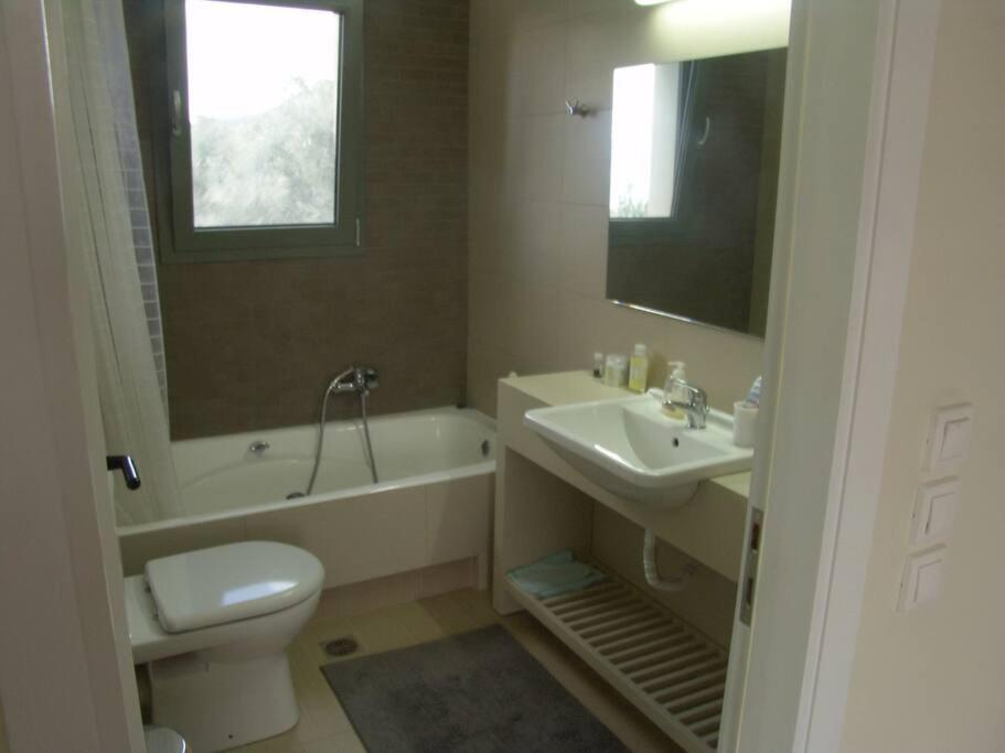 Panoramic View Summerhouse Loukissia 외부 사진