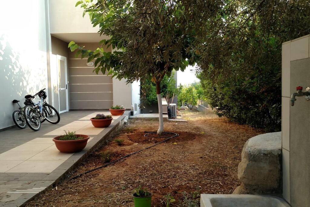 Panoramic View Summerhouse Loukissia 외부 사진