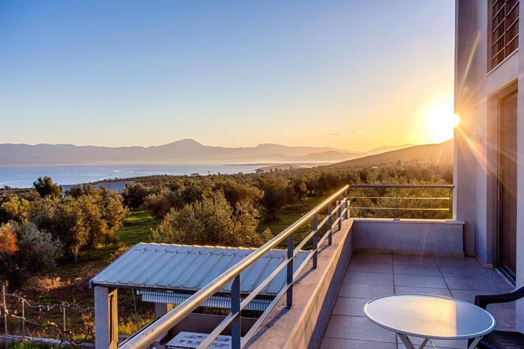 Panoramic View Summerhouse Loukissia 외부 사진